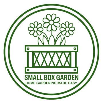 small-box-garden.png